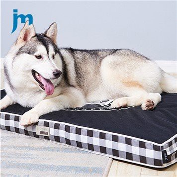 Cuccia per cani